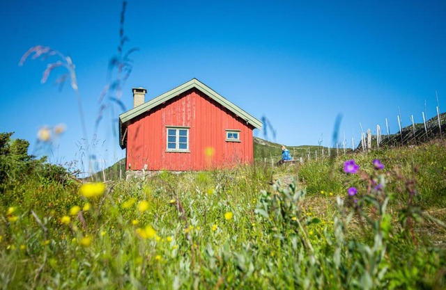 Olestølen
