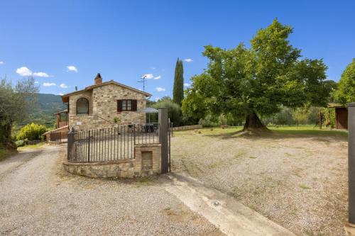 Oliveto Del Cantarello