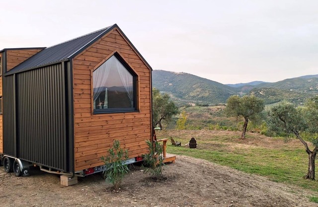 Olivo Nomade 1 by Tiny Away