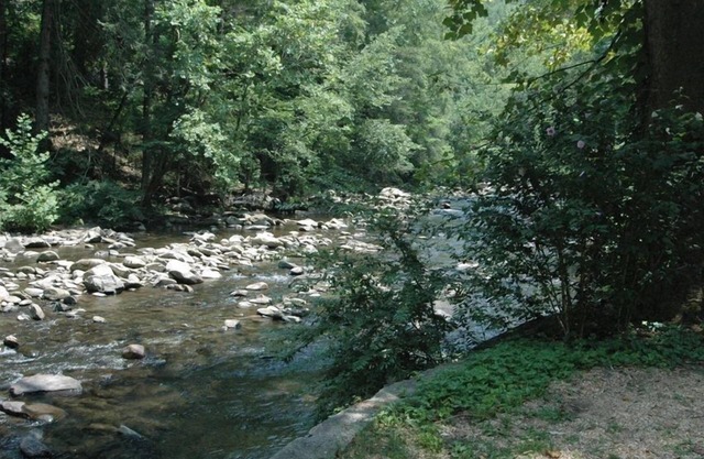 On River and Minutes to dwntwn Gatlinburg w/WIFI, Sauna and Hot Tub