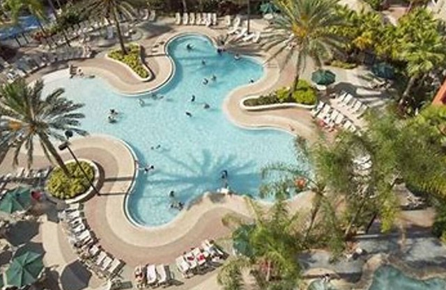 One Bed One Bath Close to Disney with Full Amenities