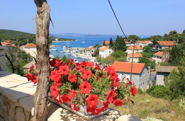 One bedroom apartment with terrace and sea view Žman, Dugi otok (A-887-b)
