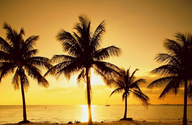 One Bedroom with Pool close to the Beach -