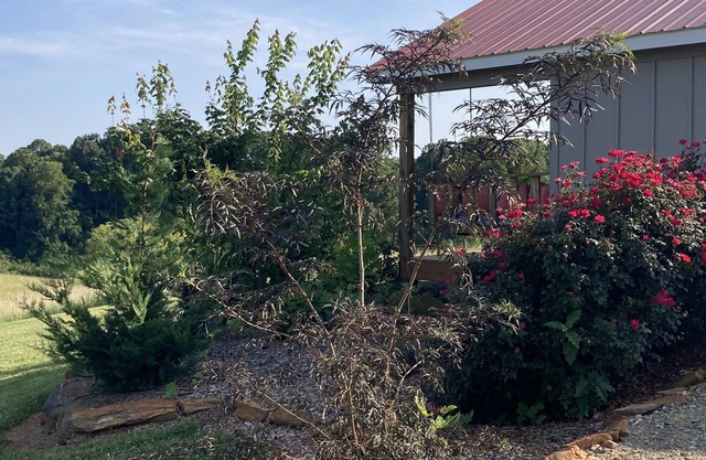 One room cabin set on our farm for a peaceful getaway.