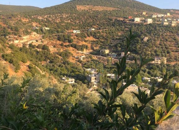 ORJAN VIEW