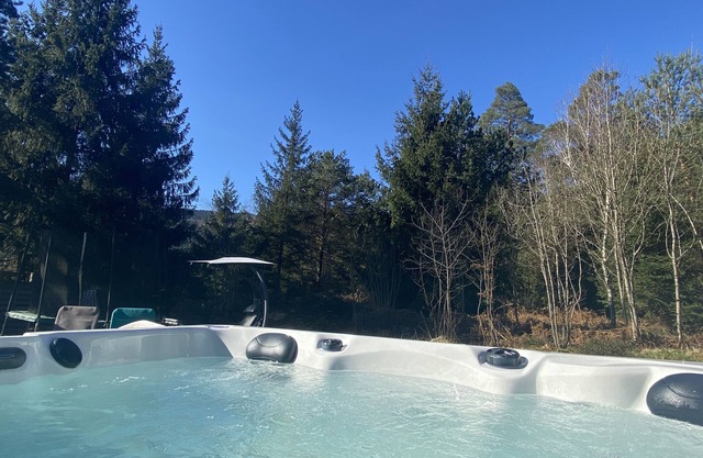 Our cocoon: jacuzzi chalet facing the forest 20 min from La Bresse 25 min from Gerardmer