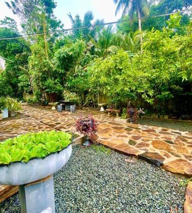 Owen Resort