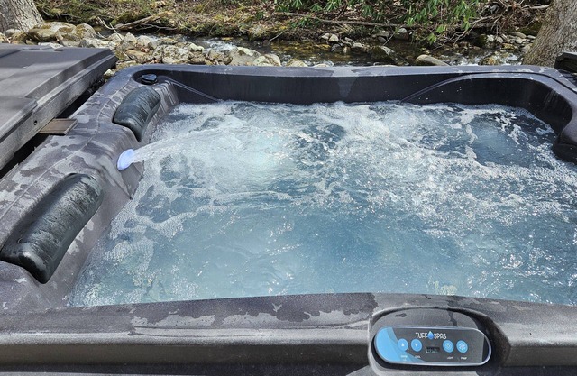 Painted Sky- Pickleball Court, Creek, WIFI, Mountain Views, Starting at $79"