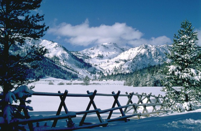 Palisades Meadows Condo # 13 by Tahoe Getaways - Ski & Monthly Lease. Walk to Chairlifts!
