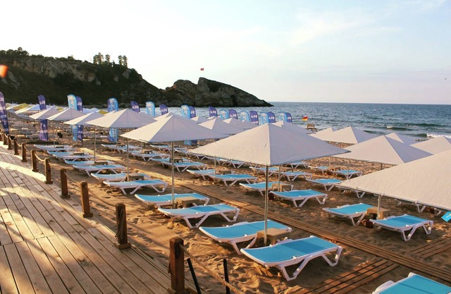 PALM BEACH ŞİLE
