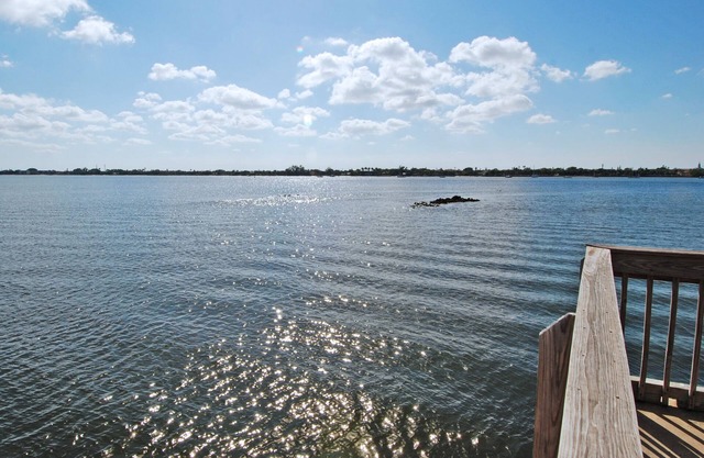 Palm Beach 1 Bedroom w/ Surrounding Water Views