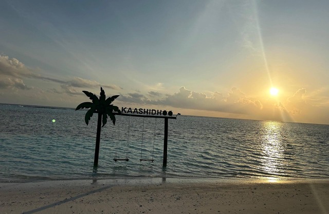Palm Rest