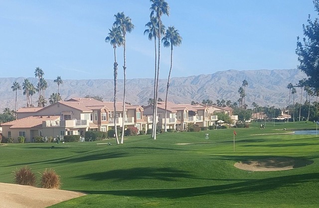 Palm Royale CC - Golfer's Delight