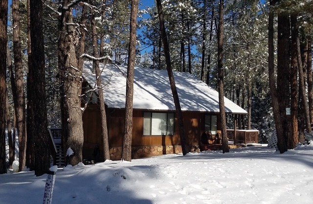 "Palms to Pines Cabin" - Your home away from home. ☆ 5/5 ☆ Star Rated