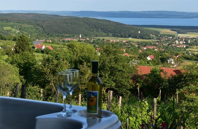 Panoráma Borbirtok
