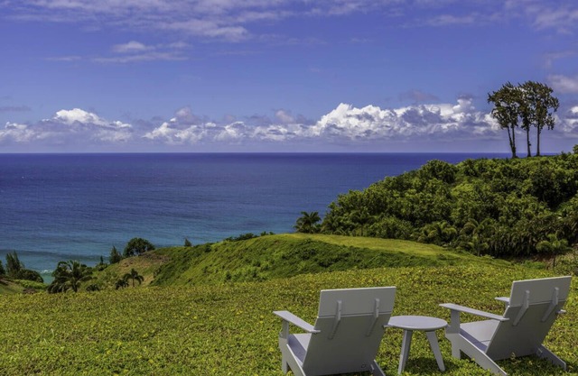 Panoramic views, lush mountains and blue waters