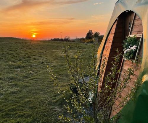 Pant y Rhedyn Glamping and camping site