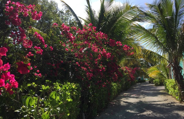 Paradise on miles of white sandy beach and turquoise sea, private and secure.