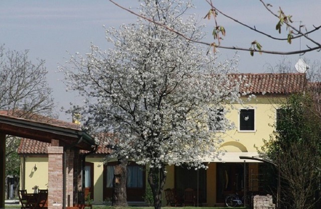 "Particolari del Brenta" - Elisa accommodation - Comfortable house with garden in Venice
