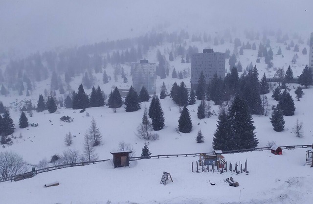 Passo del Tonale, central apartment near ski slopes and hiking trails