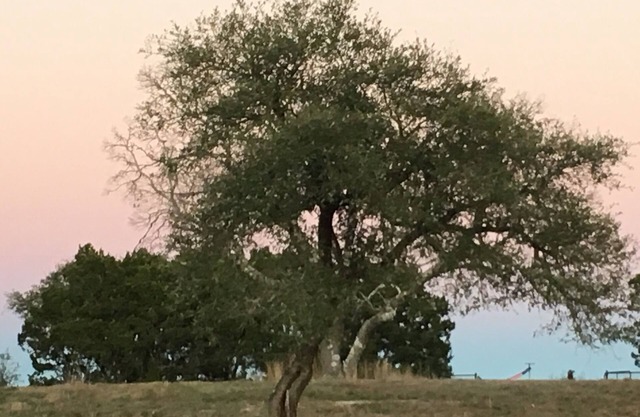 Peaceful Farm Stay A Guesthouse in the Heart of the Texas Hill Country