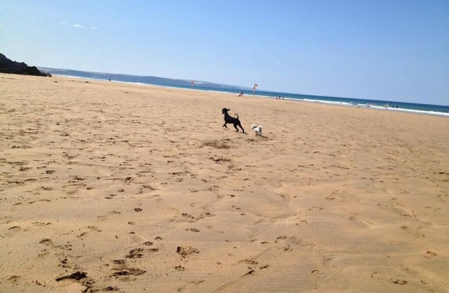 Peaceful, luxury, allergy &smoke-free lodge.Hot tub, Fishing, dog-friendly, surf