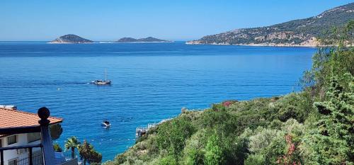 Peaceful Sea & Nature View at Seaside