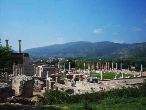 Peacock Suit Ephesus