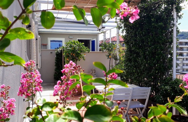 Penthouse with a large terrace - San Benedetto del TrontonCIN IT044066C2E2CI4F3S