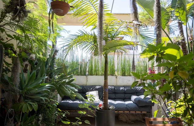 Penthouse with tropical terrace