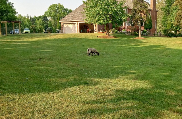 Perfect Family Getaway: Spacious 5BR Home in Barrington