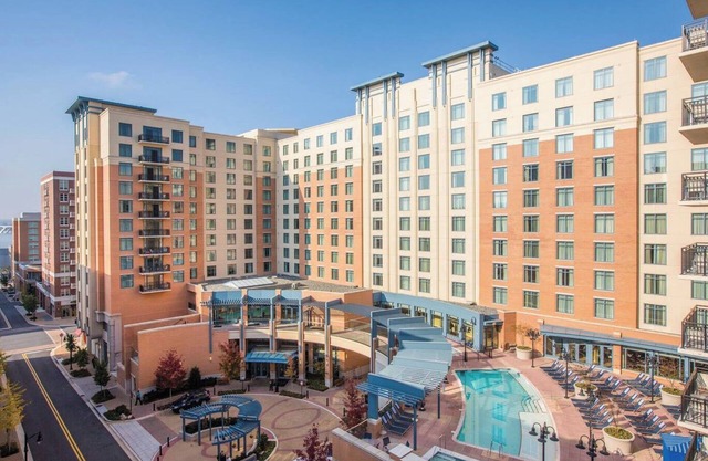 Perfect Family Getaway - NCAA Basketball, Cherry Blossoms & More! 3BD/2BA Deluxe