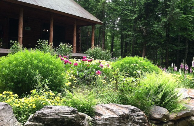 Perry Pond Paradise!