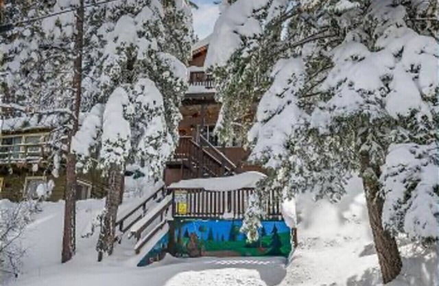 Pet Friendly Cabin, Walk to the Slopes, Golf, Zoo, BBQ, Firepit and Fireplace
