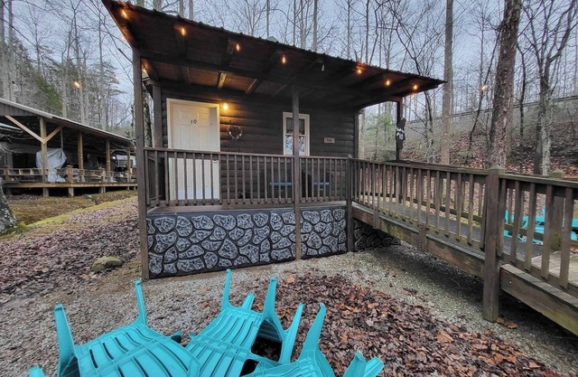 Pet Friendly Cabin in Gatlinburg