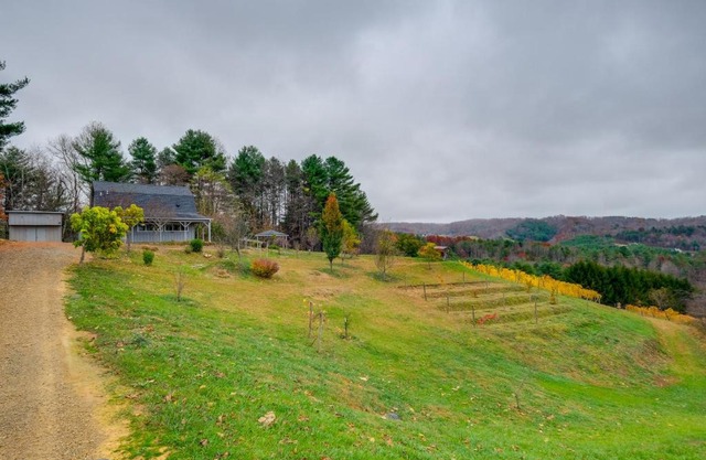 Pet-Friendly Pilot Studio with Vineyard Views!