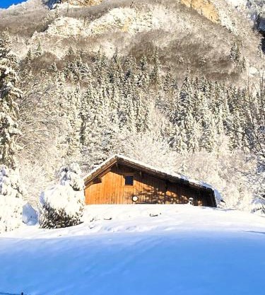 Petit chalet en bois avec mezzanine en montagne