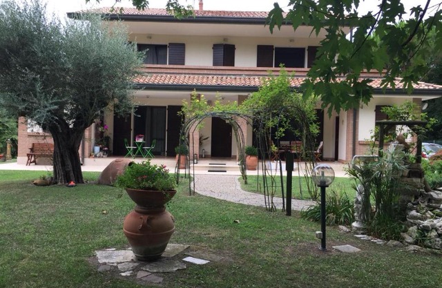 Picchio verde