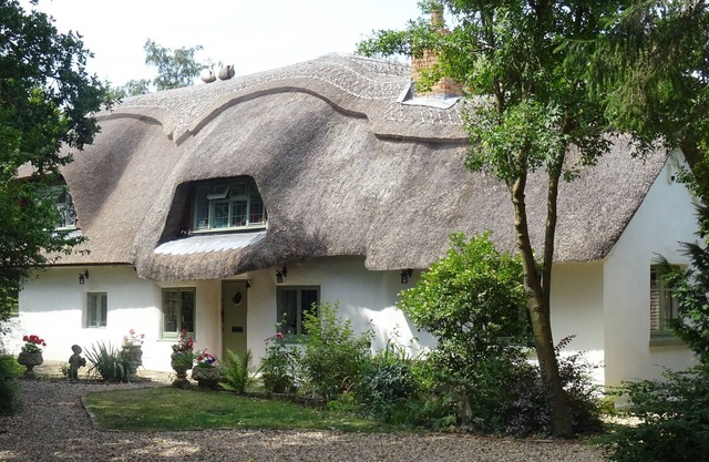 Picture postcard Thatched cottage in the forest
