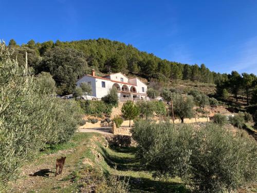 Pilar de la Sima casa rural Arguellite Yeste