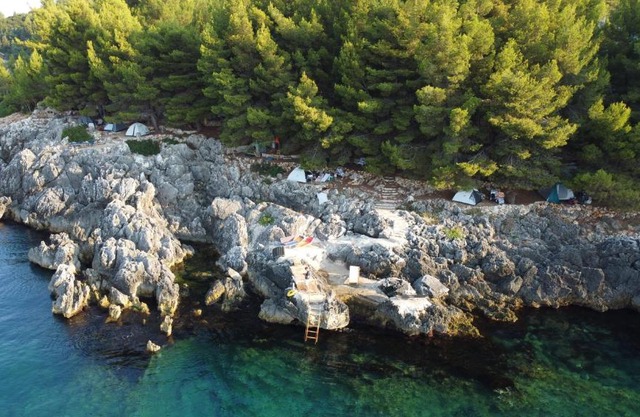 Pine Side Camp