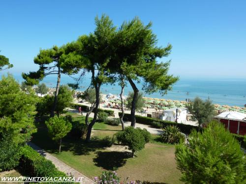 Pinetina 3 Pineto Vacanza