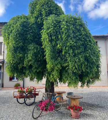 Pitaciò Affittacamere
