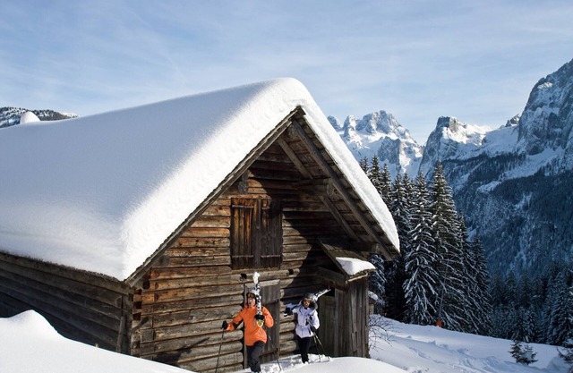 Pleasant Apartment in Gosau near Ski Area