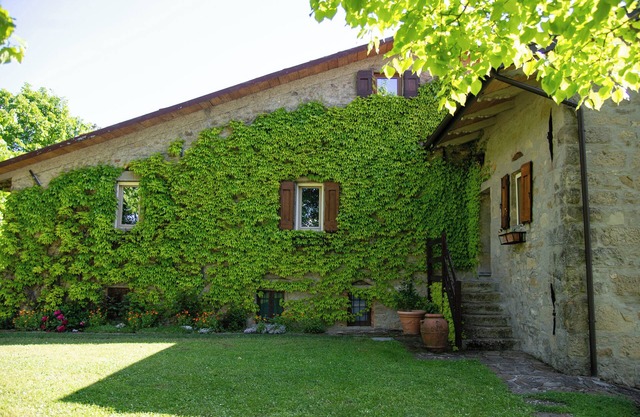 Podere Monte, panoramic terrace on the Apennines with walks and barbecues.