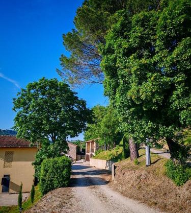 PODERE PIANA