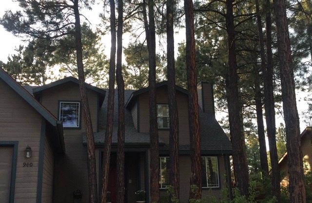 Ponderosa Pines: Flagstaff's home away from home