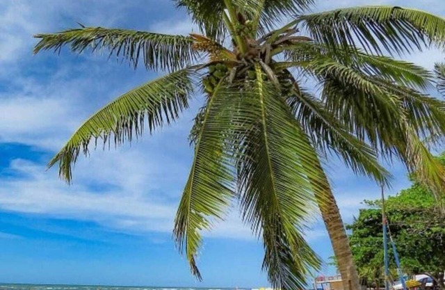 Pousada Caribe Itacimirim