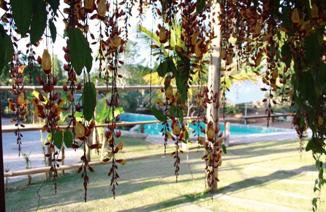 Pousada Recanto da Estação