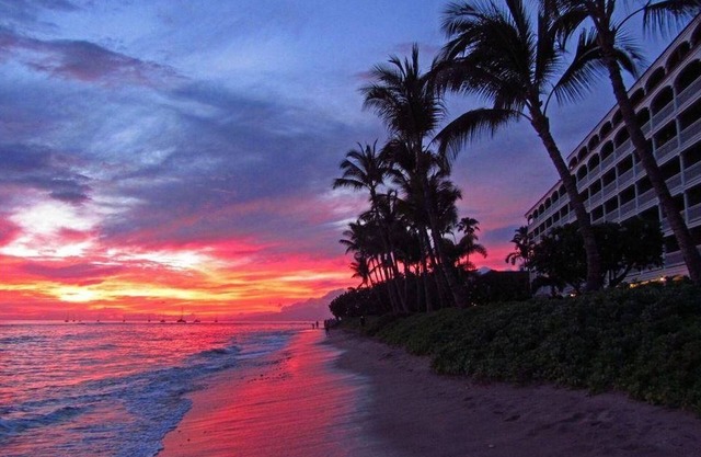 Premier Oceanfront Room - Low Discount Prices !